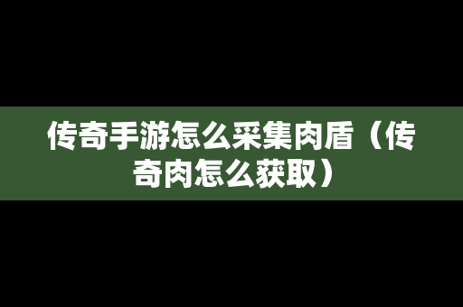 传奇手游怎么采集肉盾（传奇肉怎么获取）