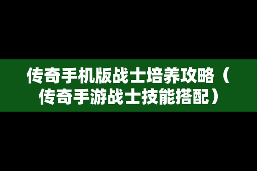 传奇手机版战士培养攻略（传奇手游战士技能搭配）