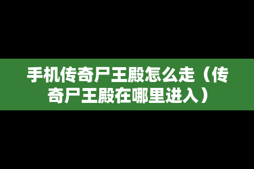 手机传奇尸王殿怎么走（传奇尸王殿在哪里进入）