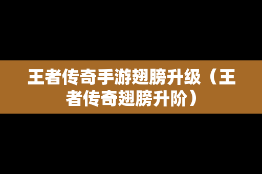 王者传奇手游翅膀升级（王者传奇翅膀升阶）