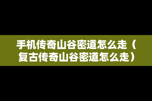 手机传奇山谷密道怎么走（复古传奇山谷密道怎么走）